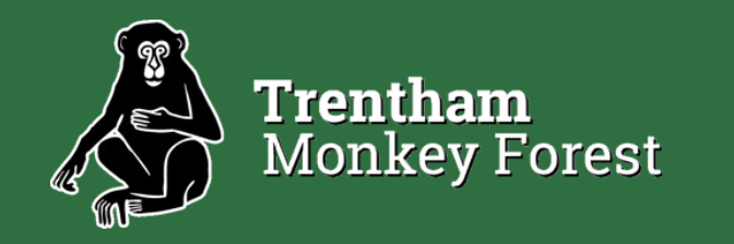 Trentham Monkey Forest