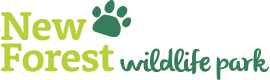 New Forest Wildlife Park